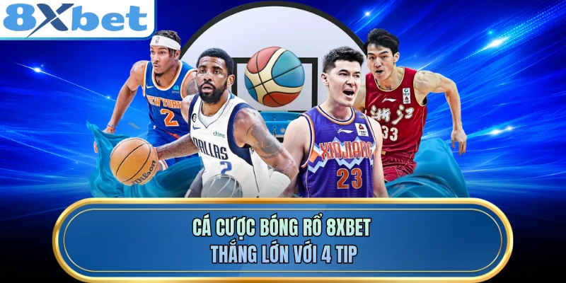 Cá cược bóng rổ 8XBET thắng lớn với 4 tip