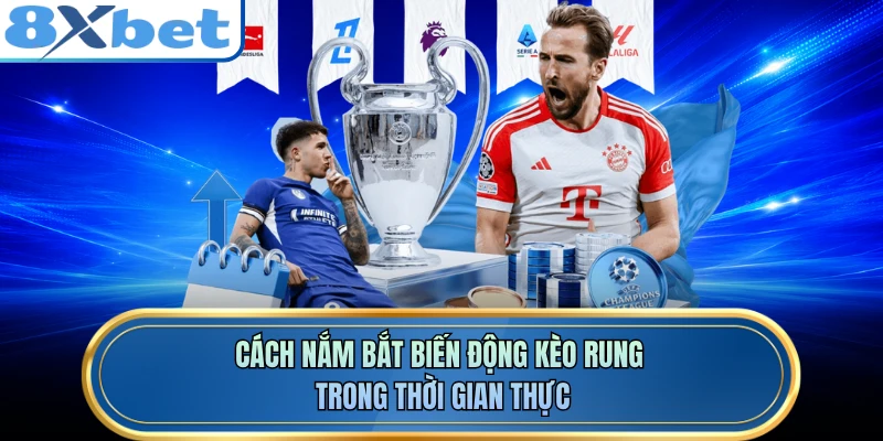 Cách nắm bắt biến động kèo rung trong thời gian thực 
